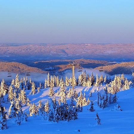 Sjusjoen Hytteutleie As Zewnętrze zdjęcie