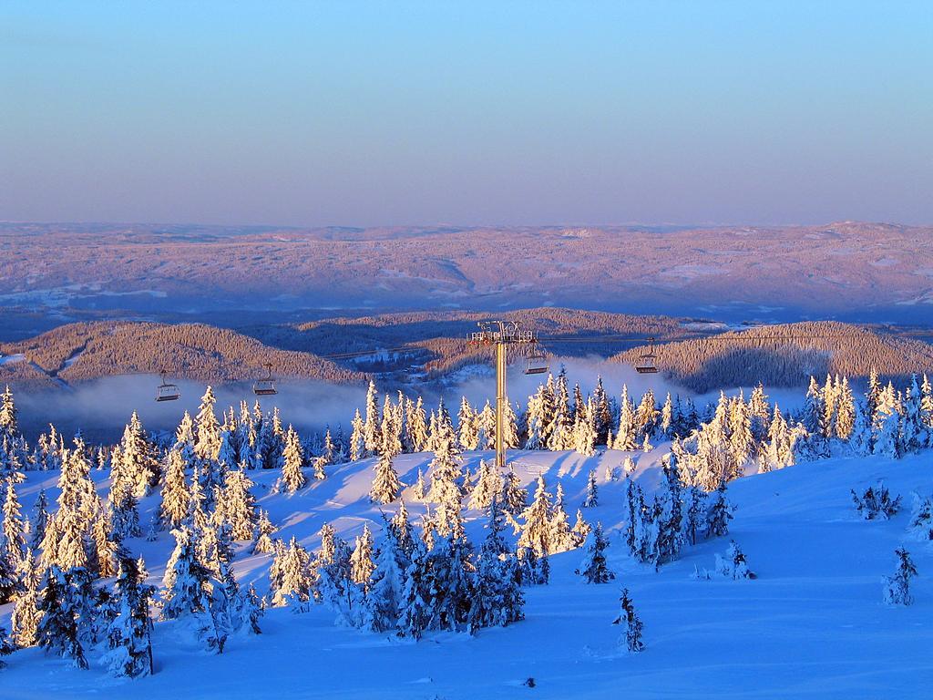 Sjusjoen Hytteutleie As Zewnętrze zdjęcie