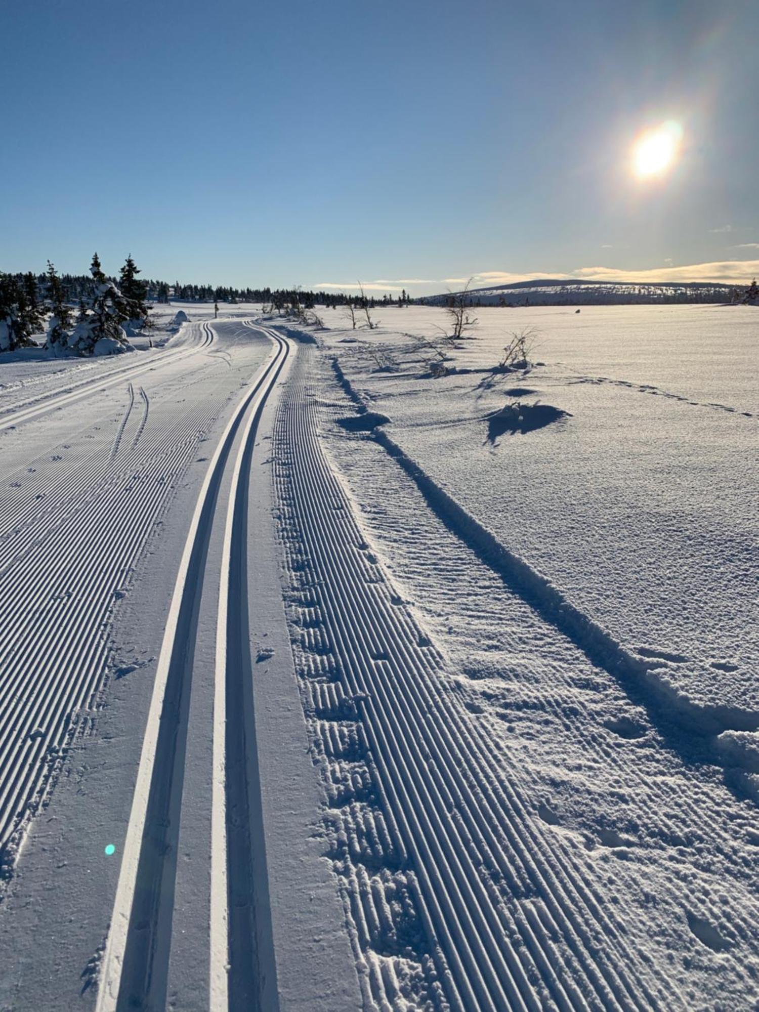 Sjusjoen Hytteutleie As Zewnętrze zdjęcie