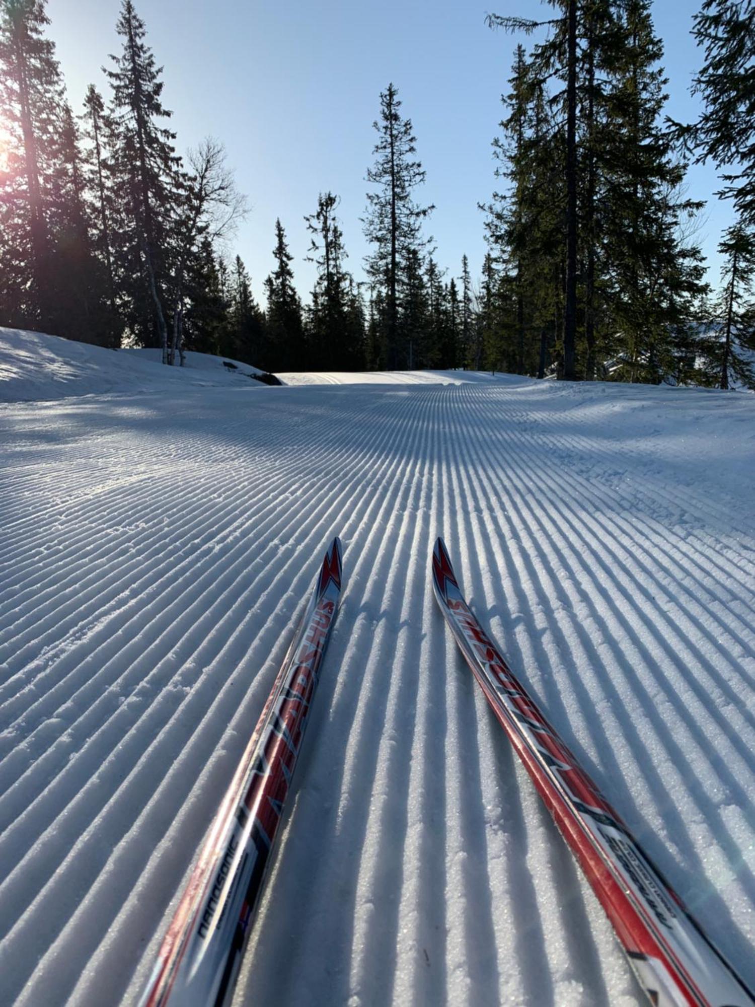 Sjusjoen Hytteutleie As Zewnętrze zdjęcie