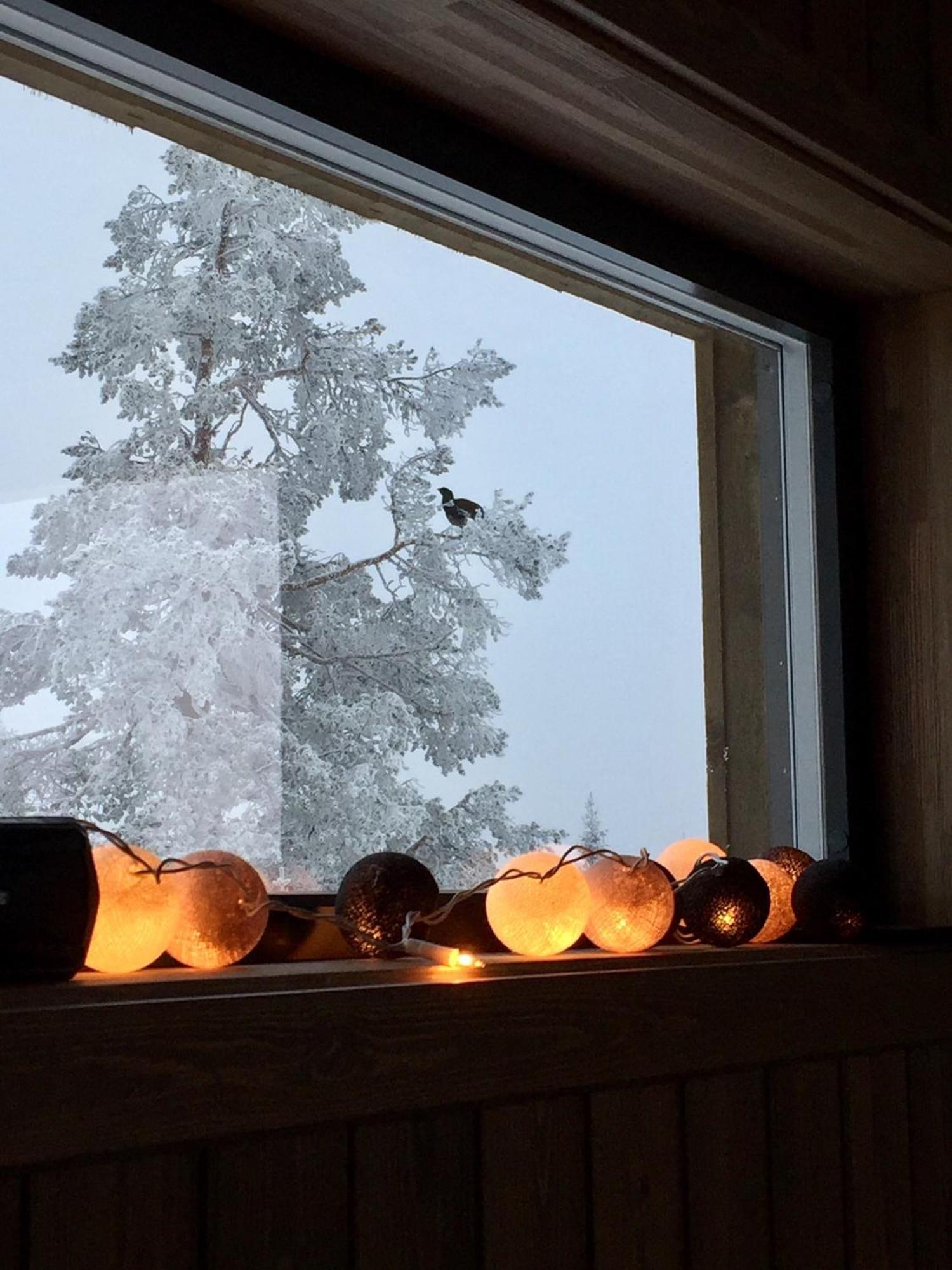 Sjusjoen Hytteutleie As Zewnętrze zdjęcie